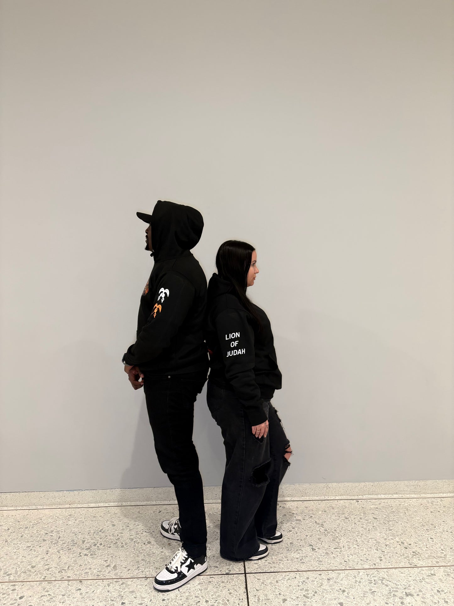 Lion Of Judah Heavy Hoodie